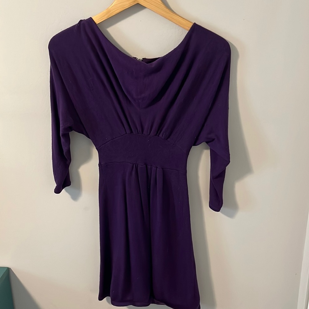 Express size XS purple sweater dress.